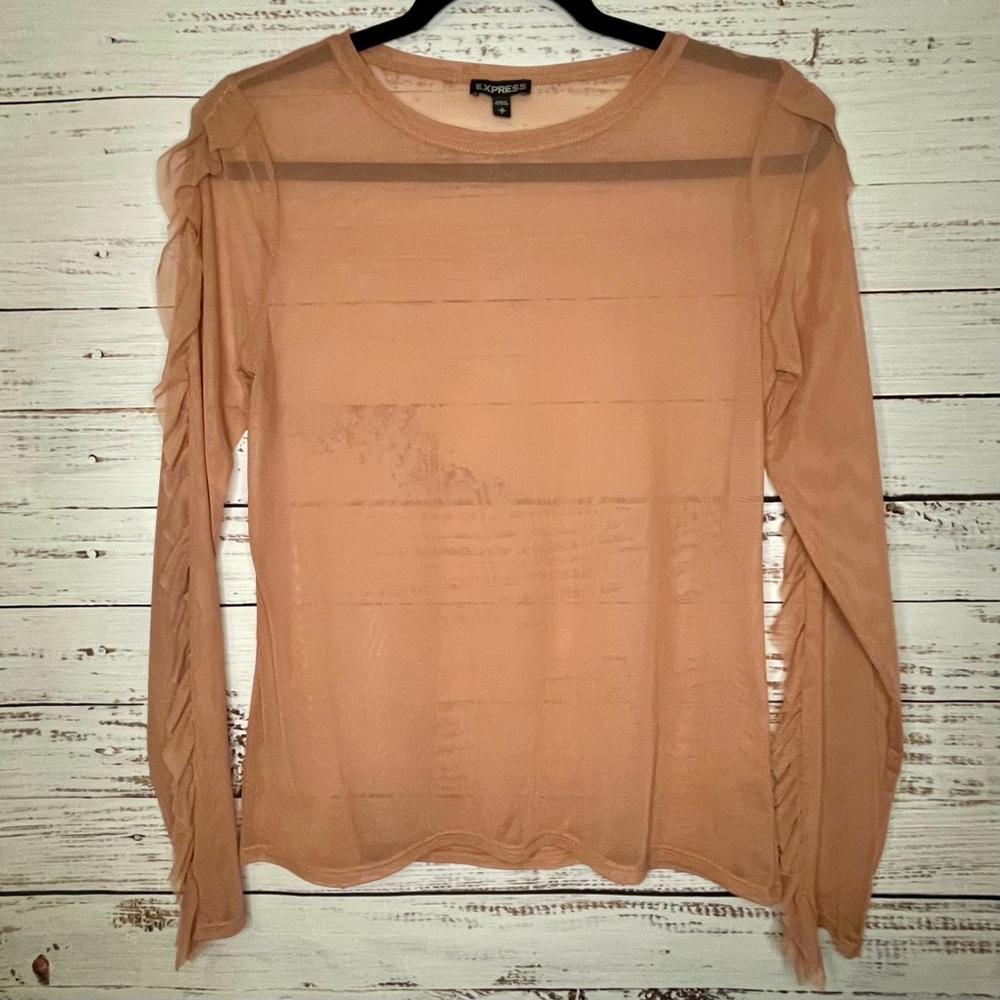 Express Sheer Blush Long Sleeve Top